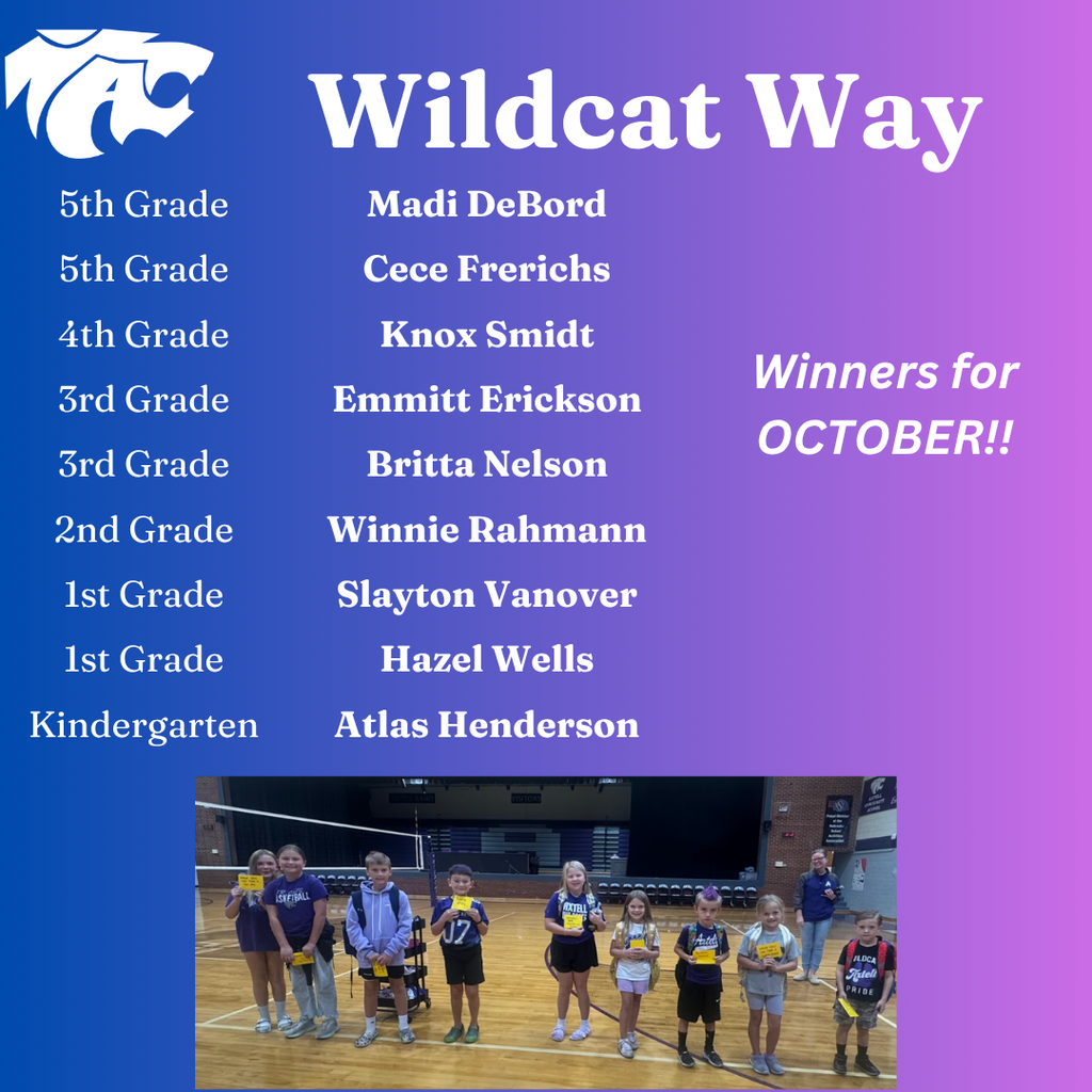 wildcat