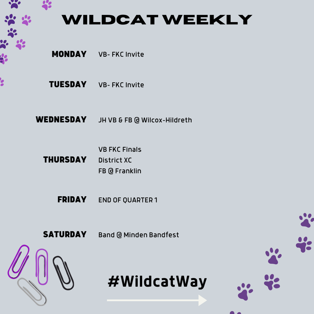 wildcats