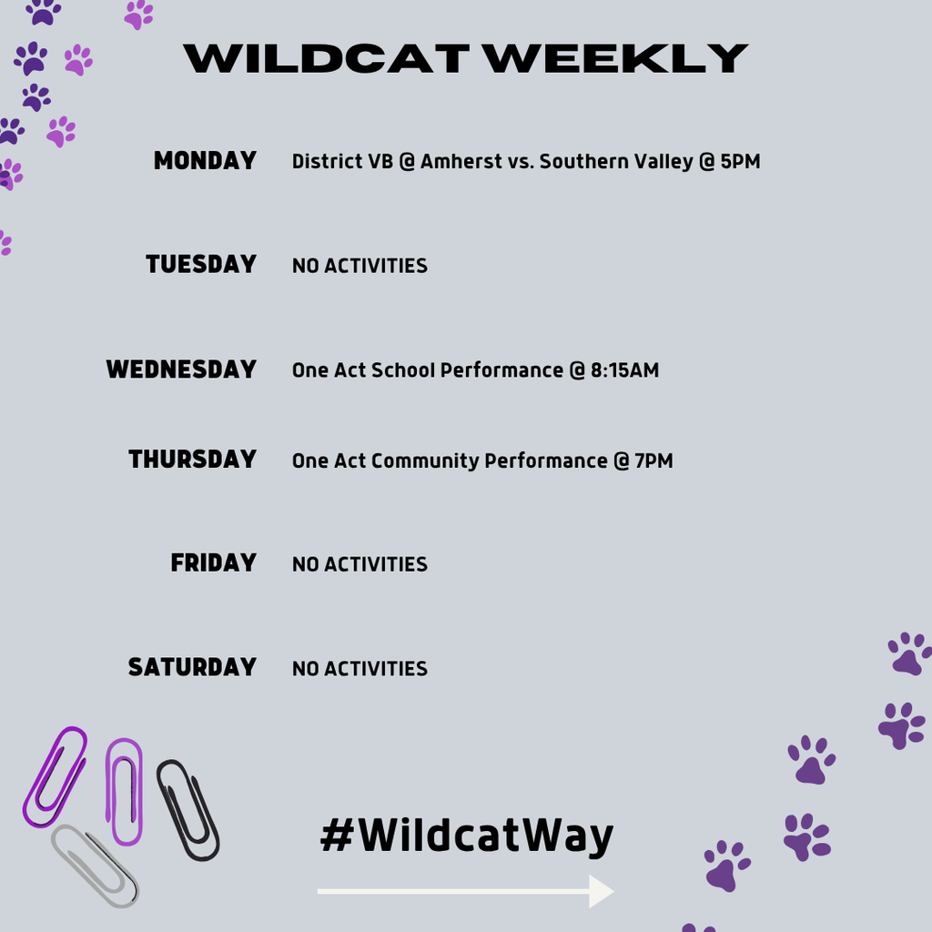 wildcat