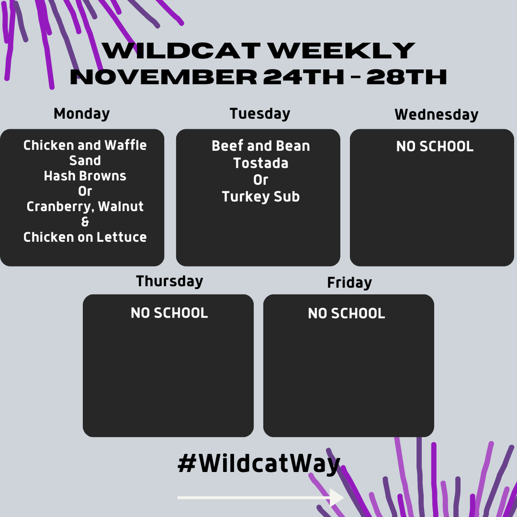 wildcat
