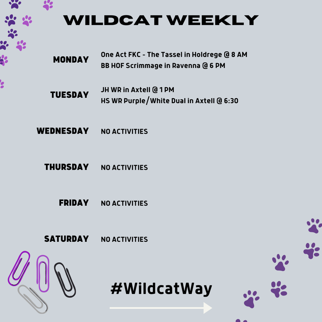 wildcat