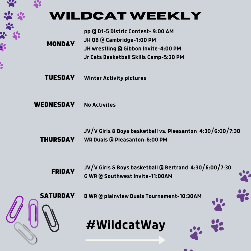 wildcat