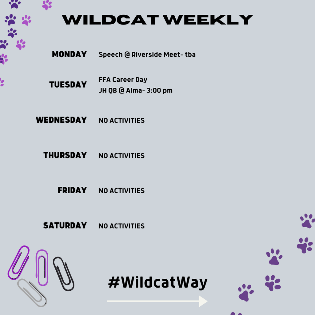 wildcat