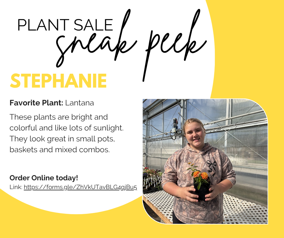 Plant Sale