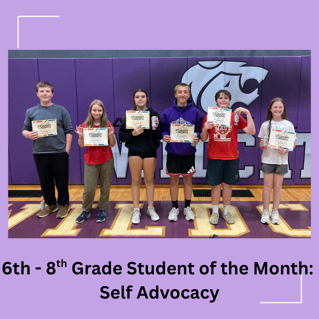 self advocacy