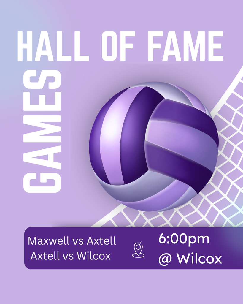 Volleyball Hall of Fame Games