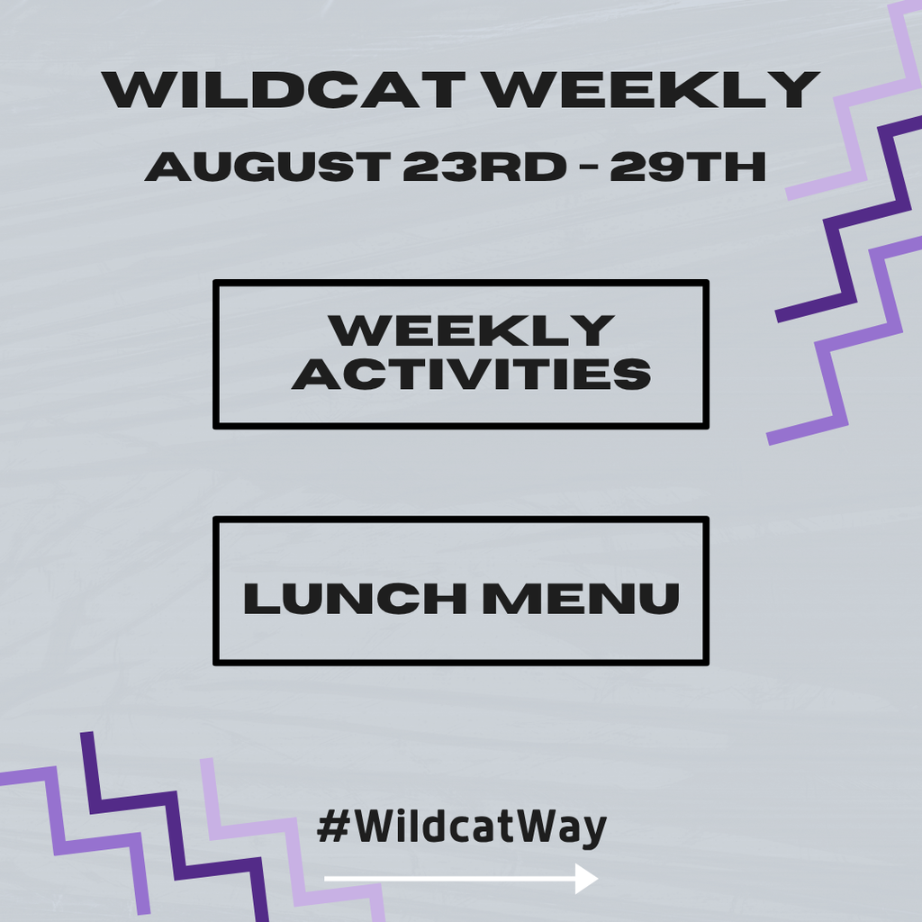 Weekly activity's Augest 23rd-29th