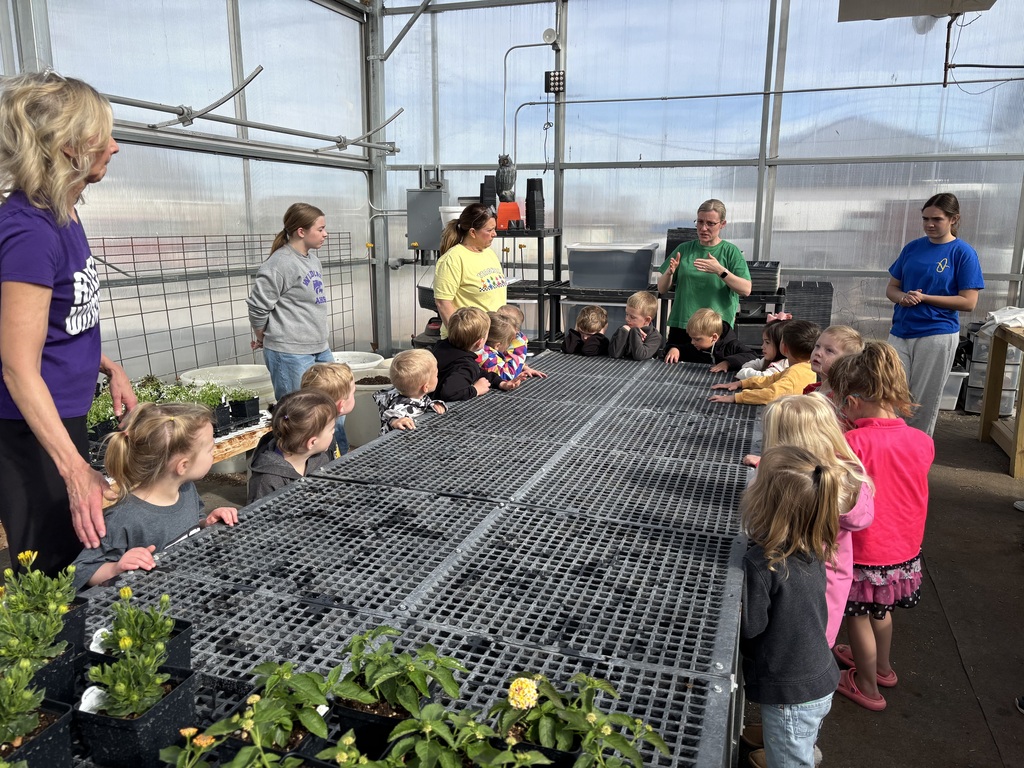 greenhouse