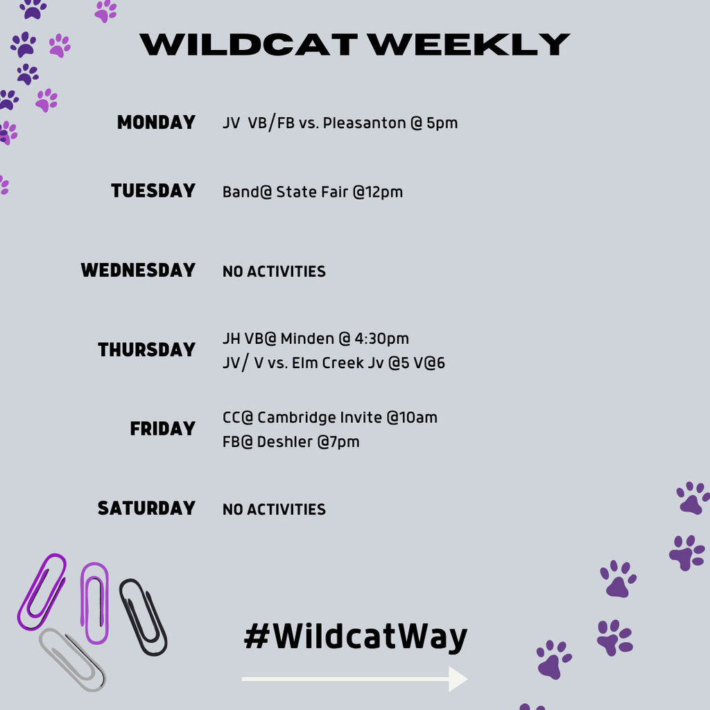 This weeks activities 