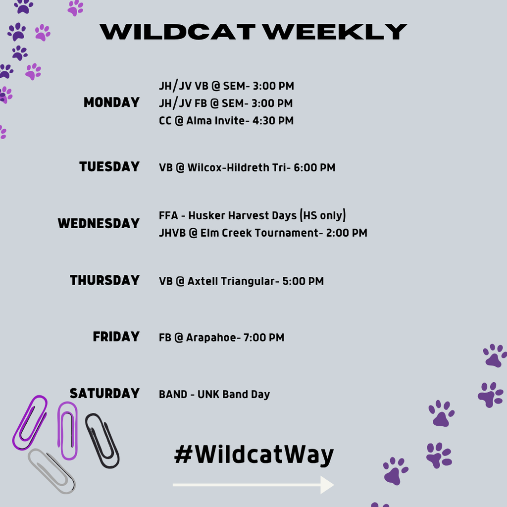 weekly wildcat