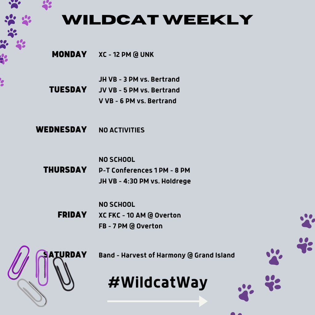 This weeks activities
