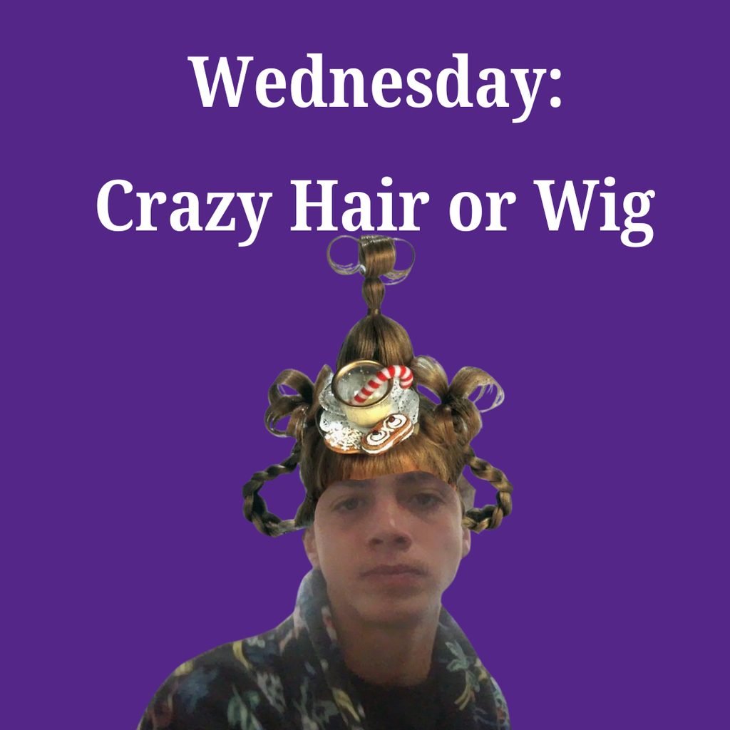 Wednesday crazy hair