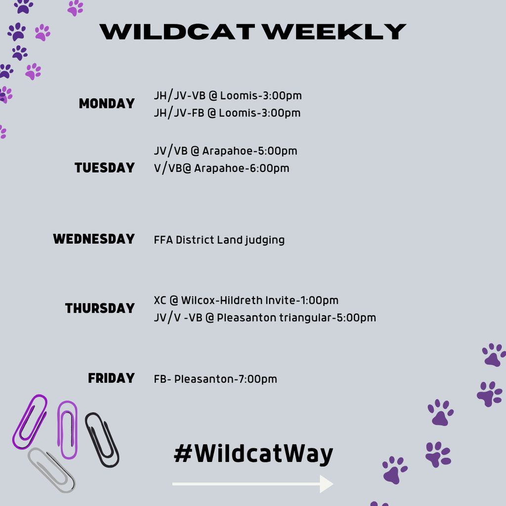 weekly wildcat