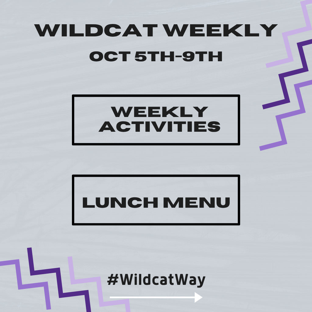 Weekly activity's
