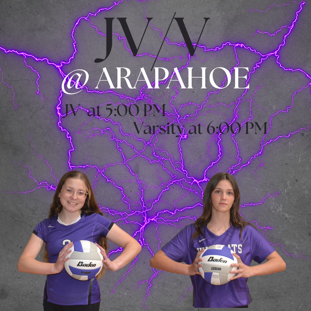 Volleyball JV/V games