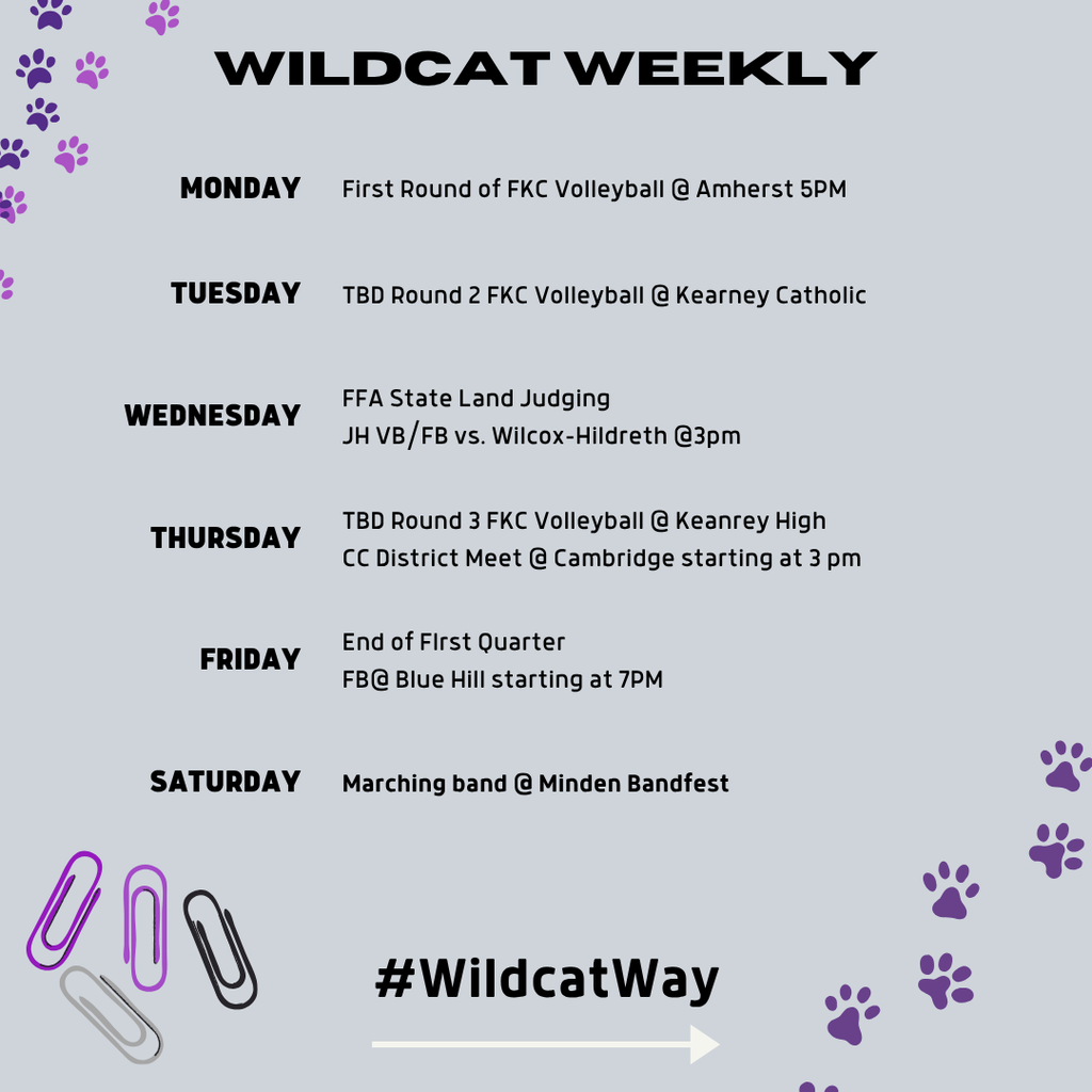 This Weeks Activites