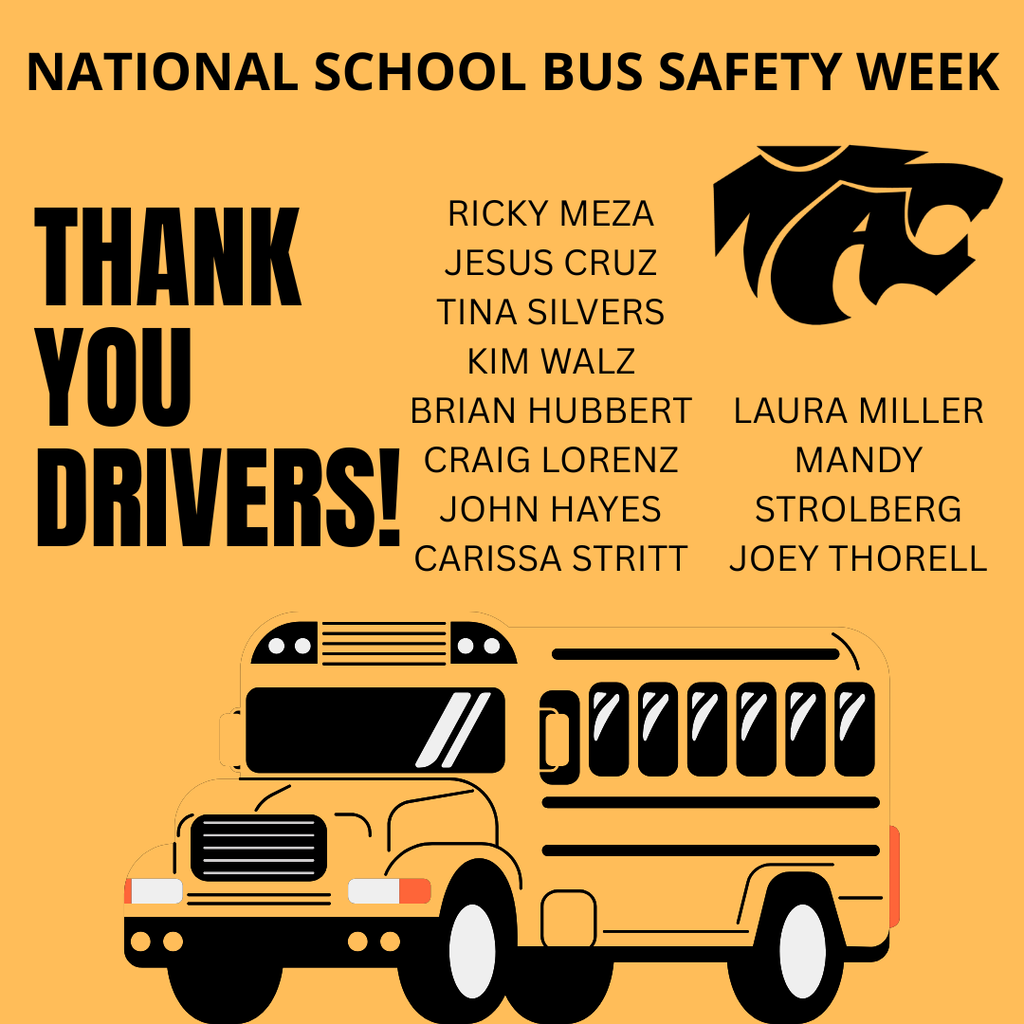 national school bus safety
