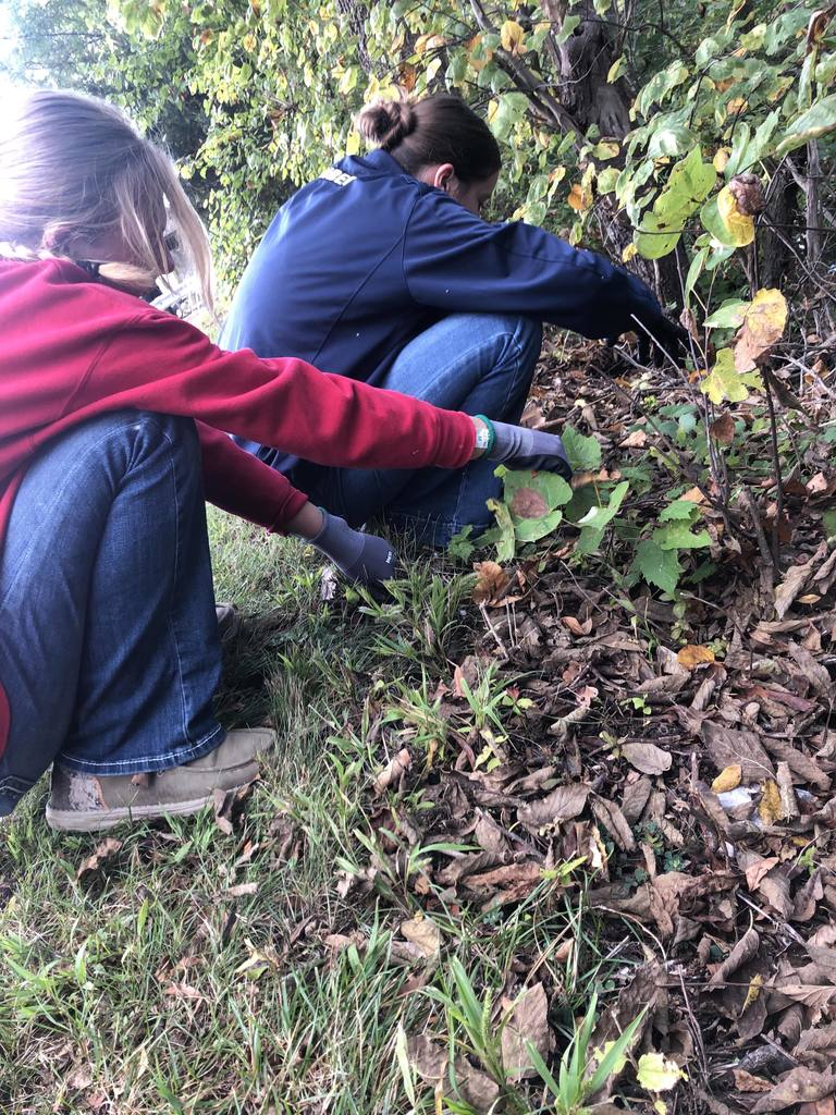 AHS Students on their environmental sciences trip to Independence Dam.