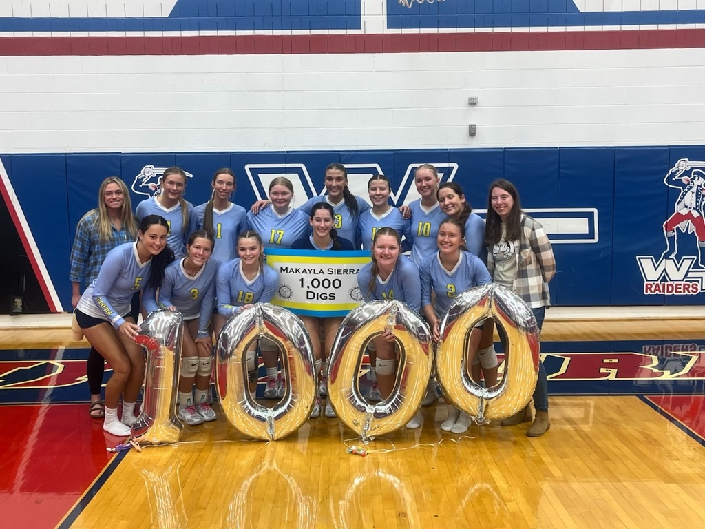 MS 1000 Digs