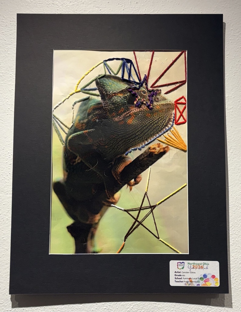 Camden Elkin's mixed media piece features a chameleon with brightly colored geometric lines and shapes that were stitched around it.