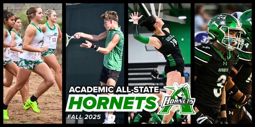 Fall 2025 Academic All-State photo collage (decorative image)