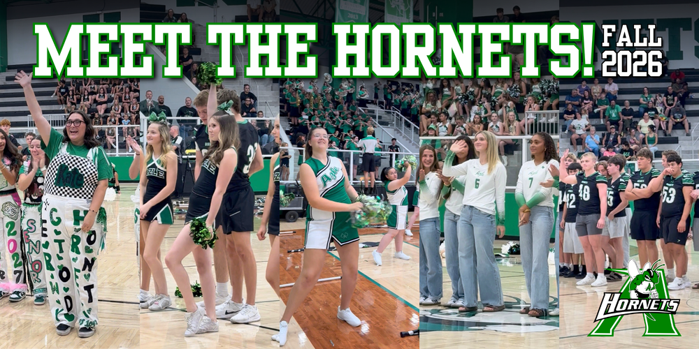 Meet the Hornets Fall 2026 decorative cover graphic