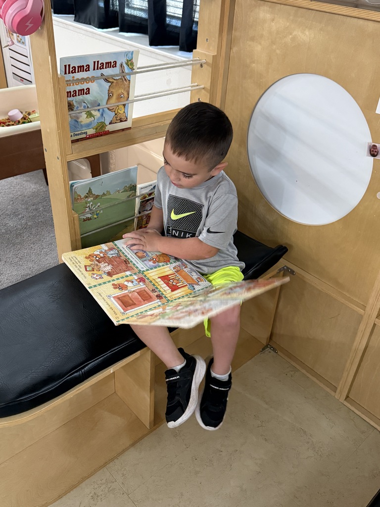 Picture of student reading a book