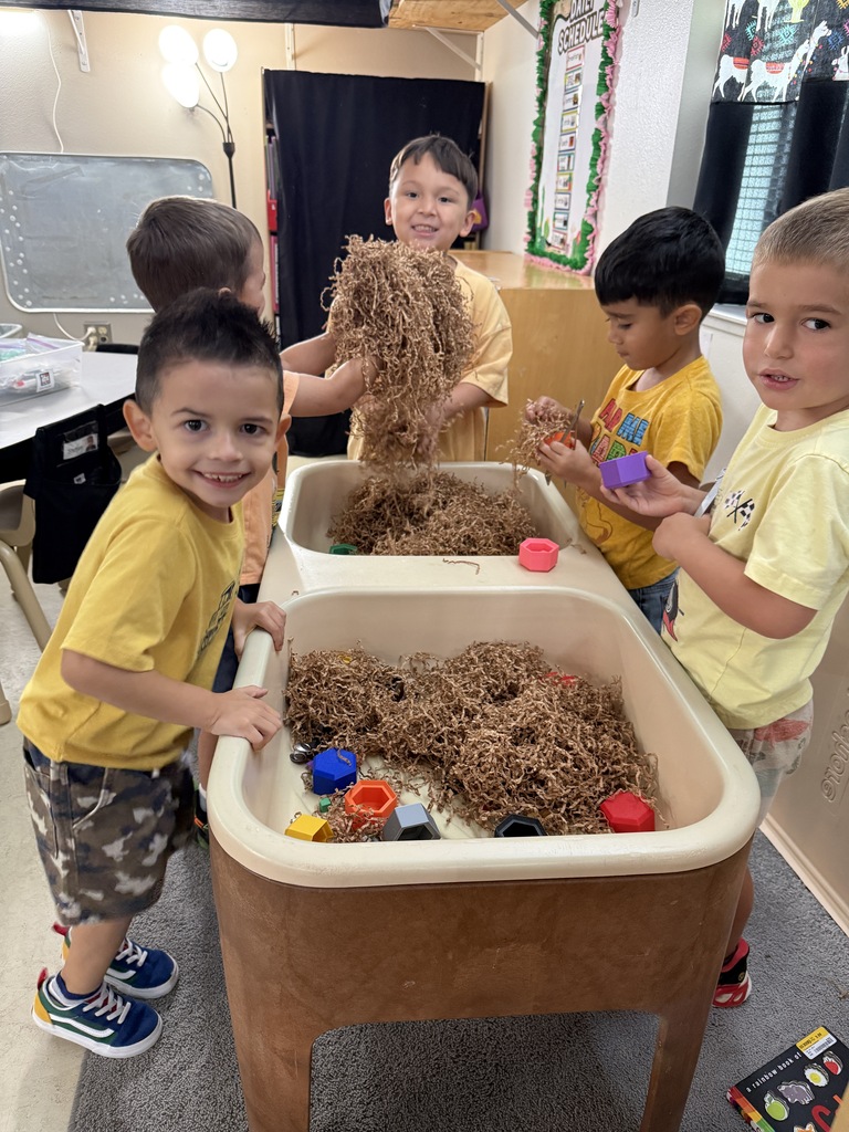 Picture of students learning