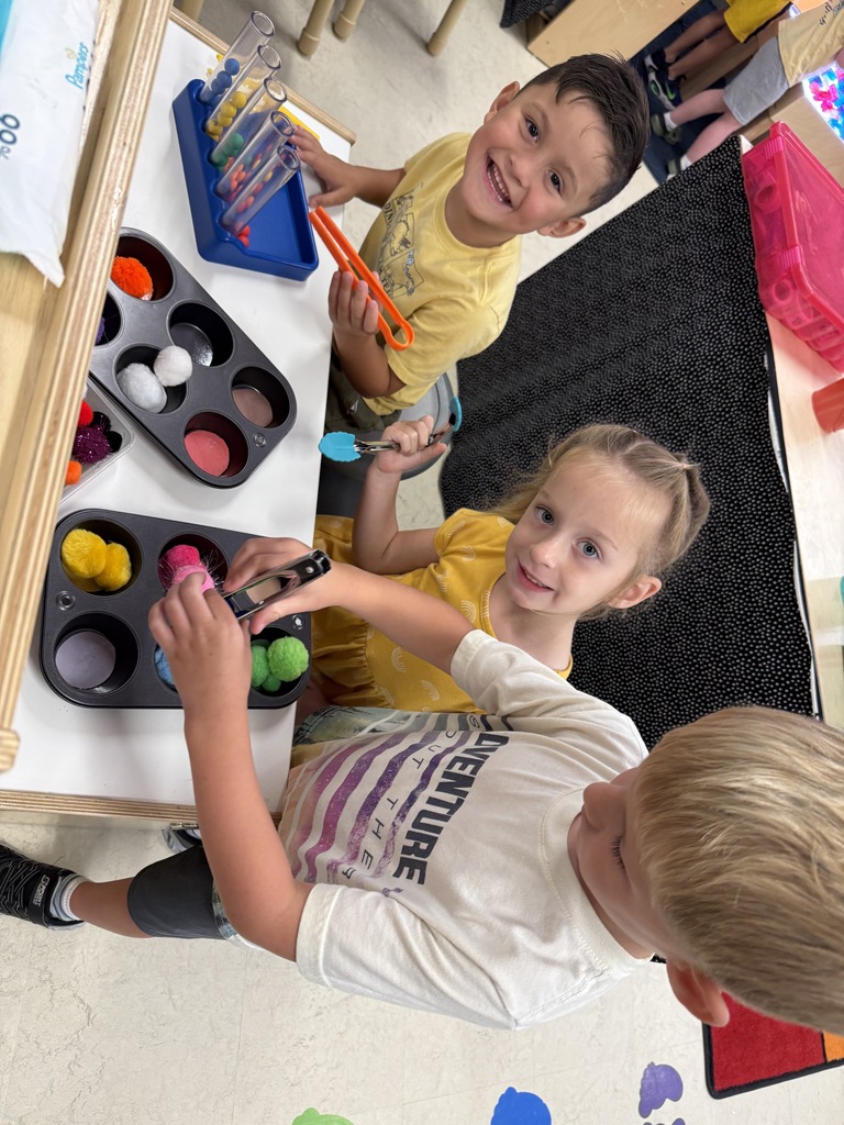Picture of students learning