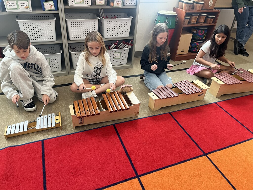 Image of students playing xylophones