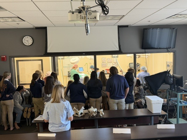 The Essentials of Healthcare students toured the SRTC Healthcare programs from Radiology Technology and Medical Lab Technology to Vet Technology and more! 