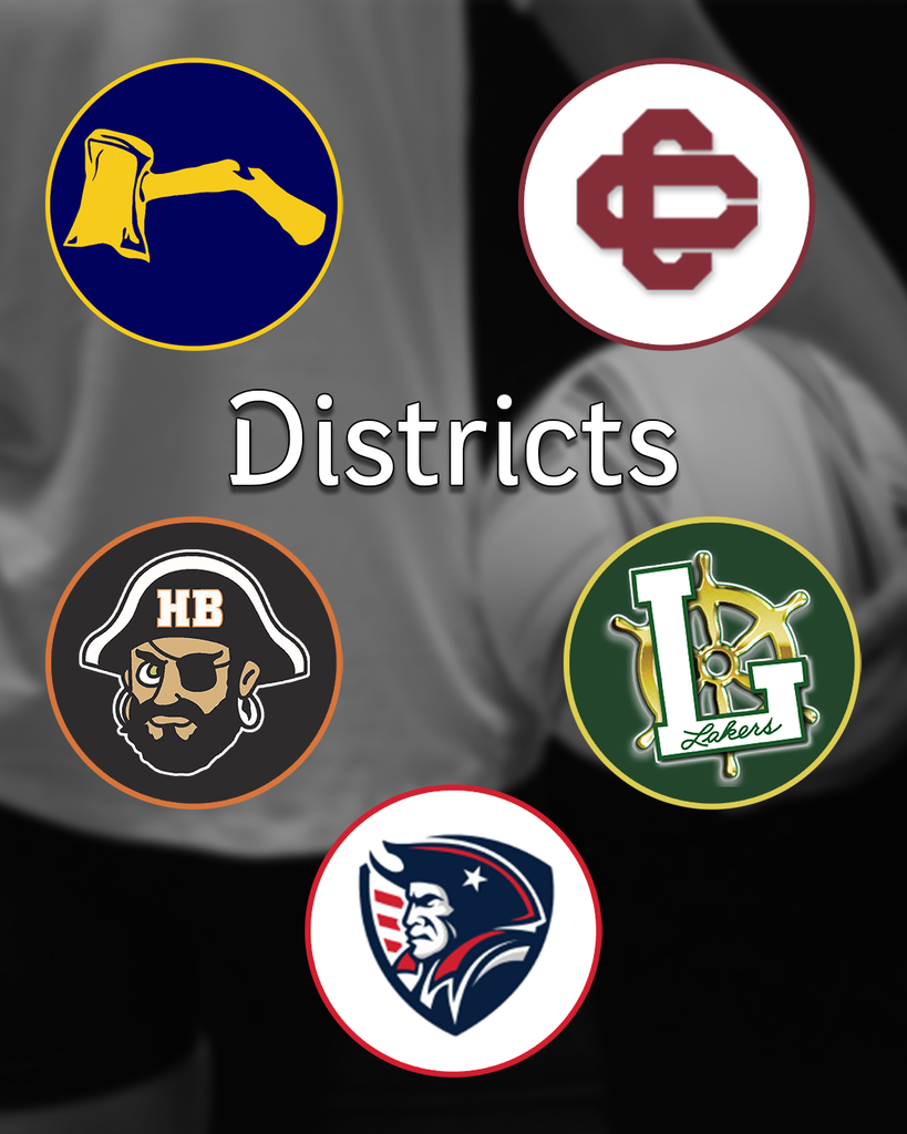 District Volleyball Tournament, Week of November 3rd, Bad Axe