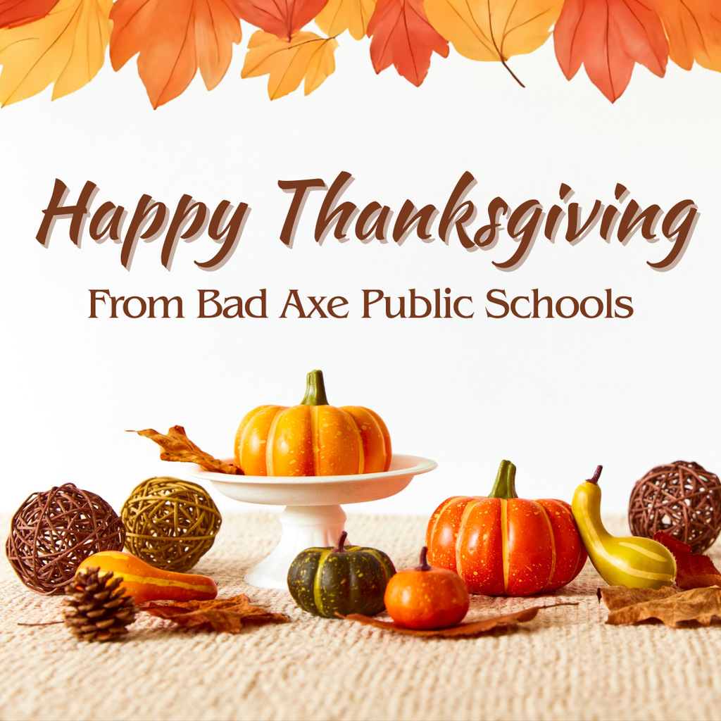 Mini pumpkins, gourds, and leaves, with a leaf border at the top. Says, "Happy Thanksgiving from Bad Axe Public Schools".