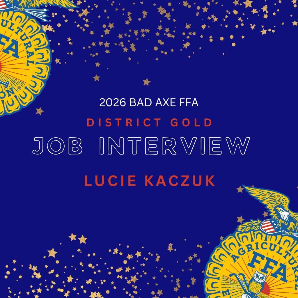Job Interview - Lucie Kaczuk