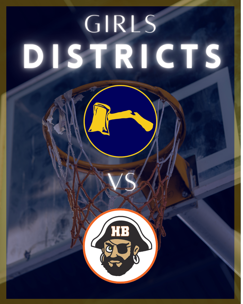 Basketball hoop in the background with a Bad Axe v.s. Harbor Beach logo.