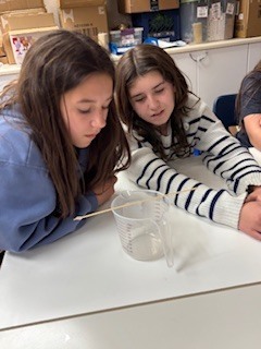 extracting strawberry DNA