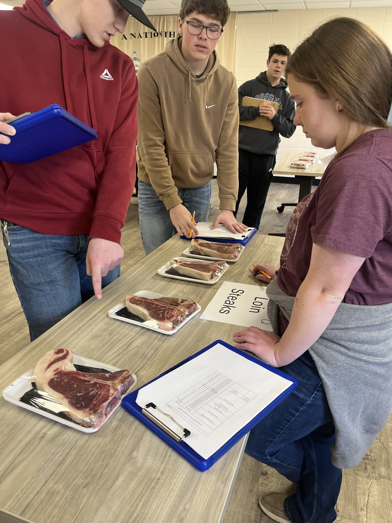 C of O Meats workshop where students learned to judge T-bone Steaks
