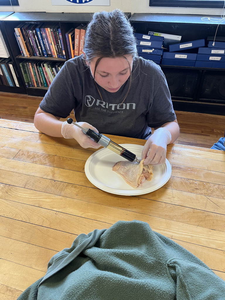 Massey Hayes demonstrating a subcutaneous injection in Livestock management.