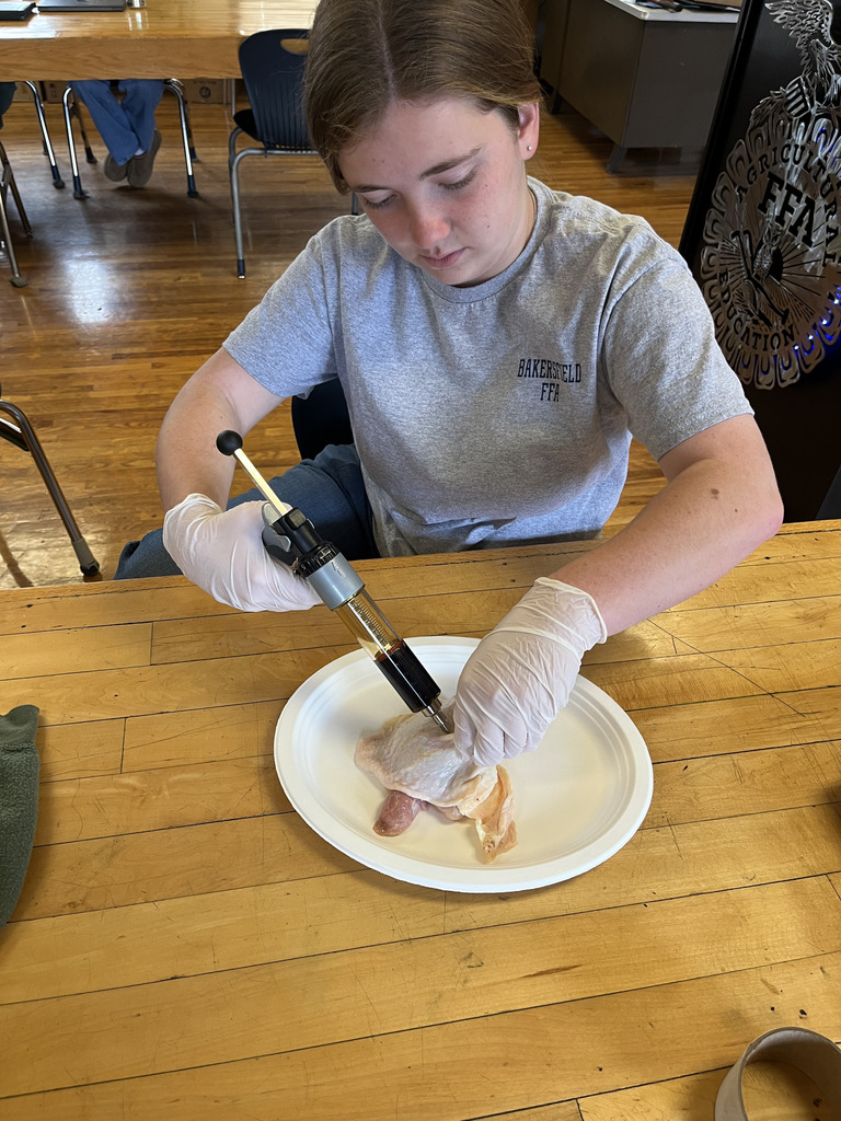 Shaelyn Foster demonstrating an IM injection in Livestock management.