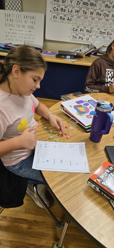 Molecule Models