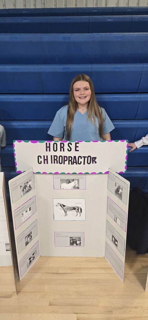 Horse chiropractor
