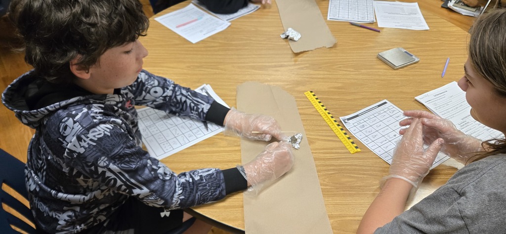 Measuring Owl Pellet