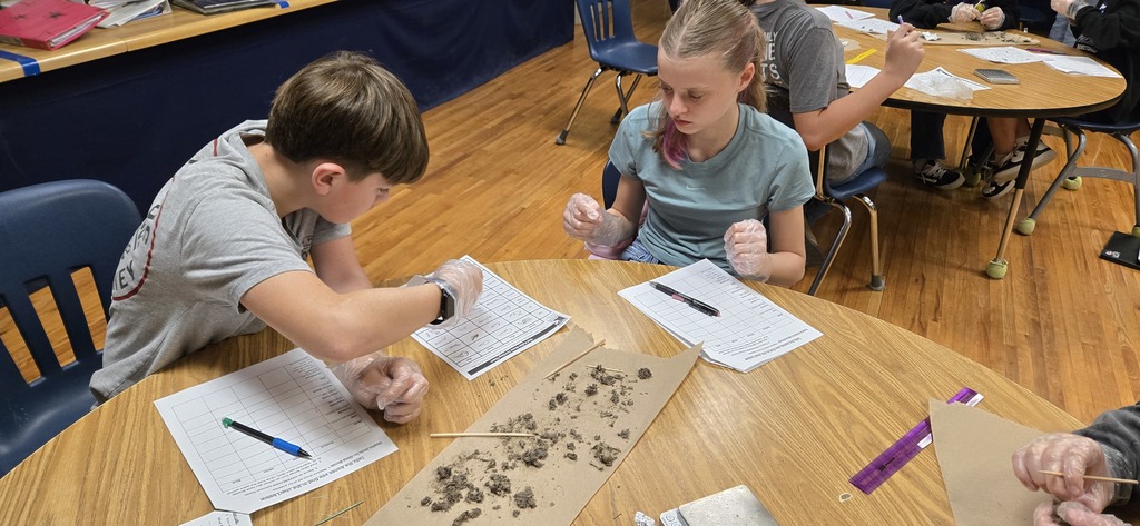 Dissecting Owl Pellet