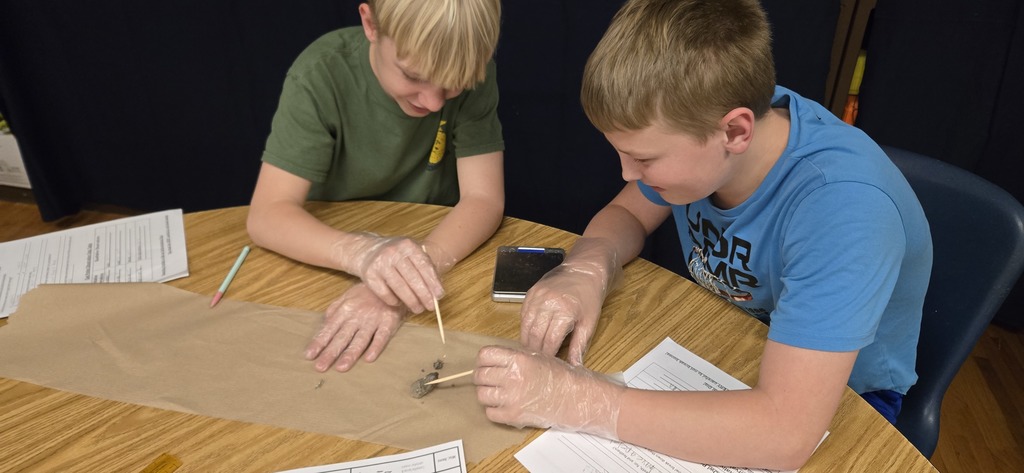 Dissecting Owl Pellet