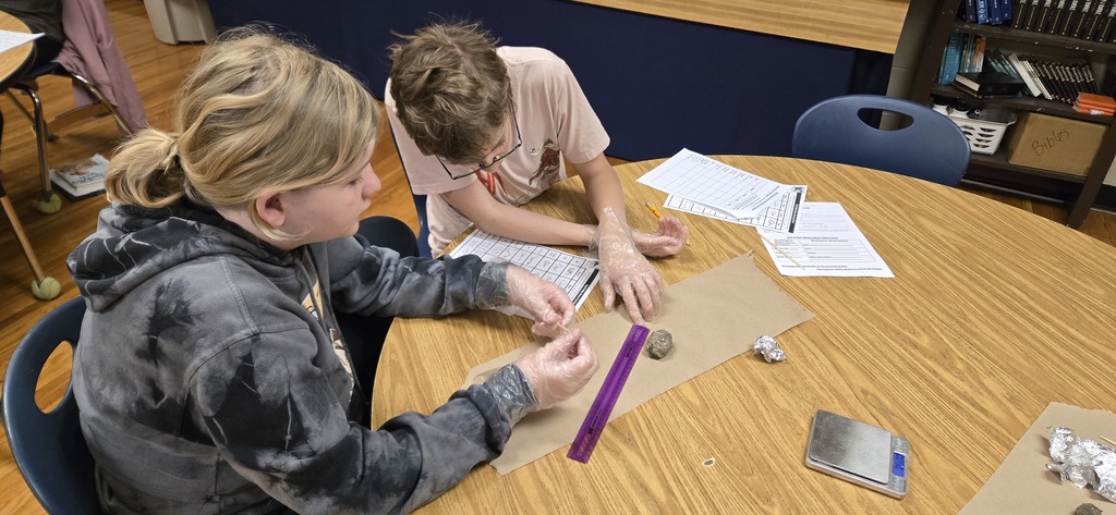 Measuring Owl Pellet