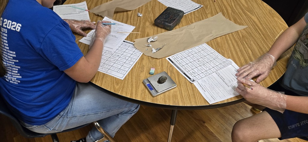 Dissecting Owl Pellet