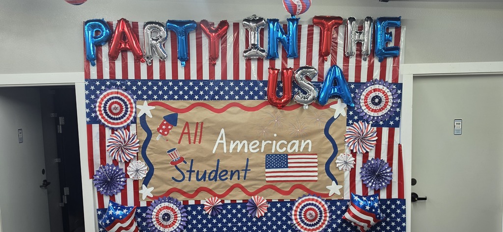 Party in the USA