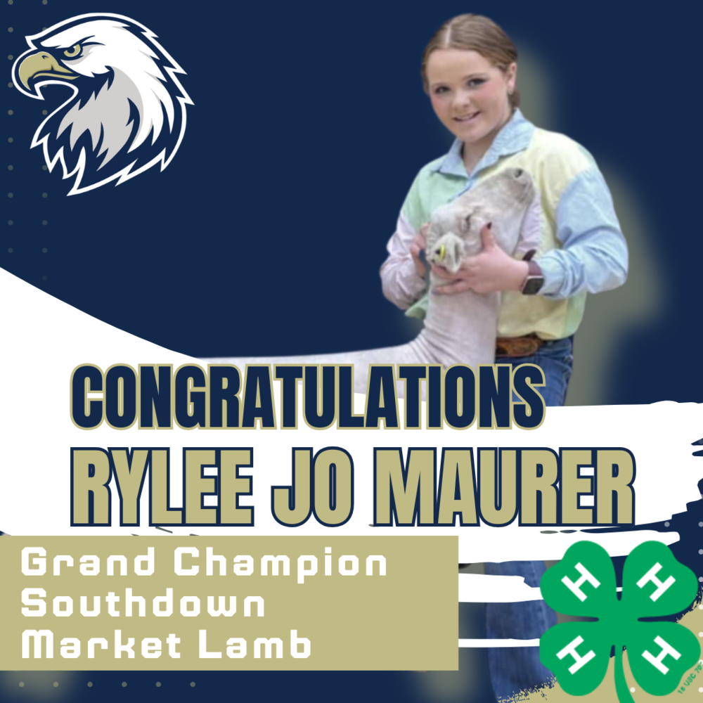 A certificate or award congratulating Rylee Jo Maurer for winning Grand Champion in the Southdown Market Lamb category.