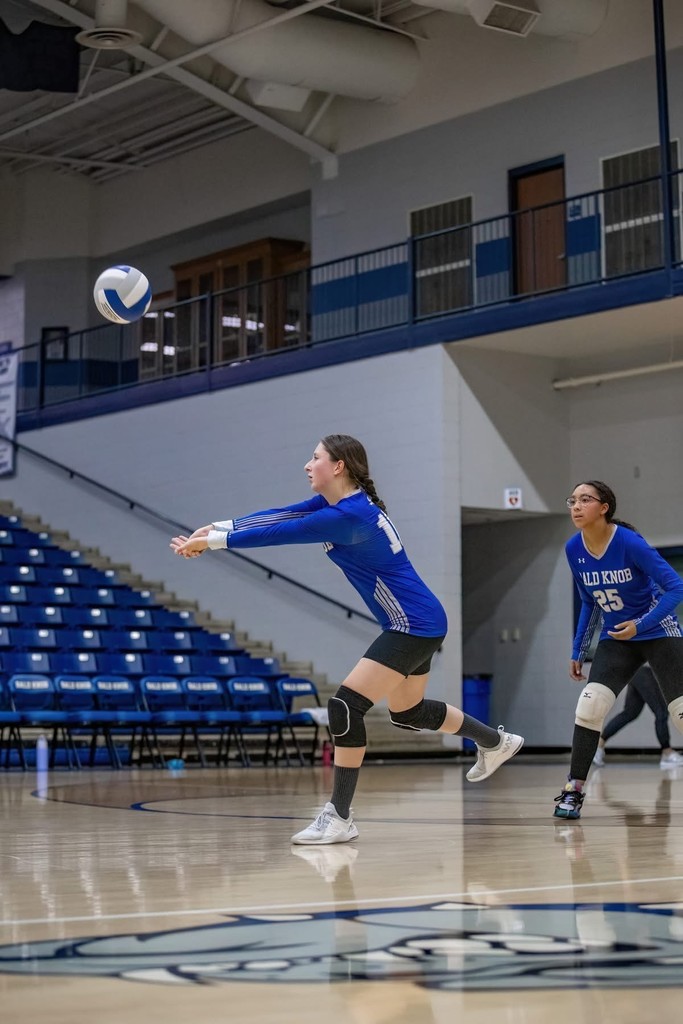 Bulldog Volleyball