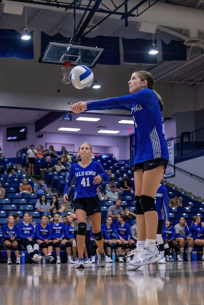 Bulldog Volleyball